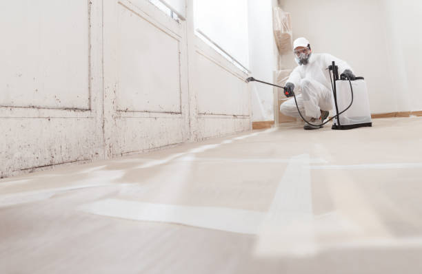 24/7 Emergency Basement Mold Removal experts in Darien, GA